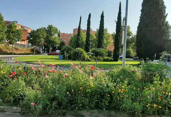 Renaturalització de la ciutat