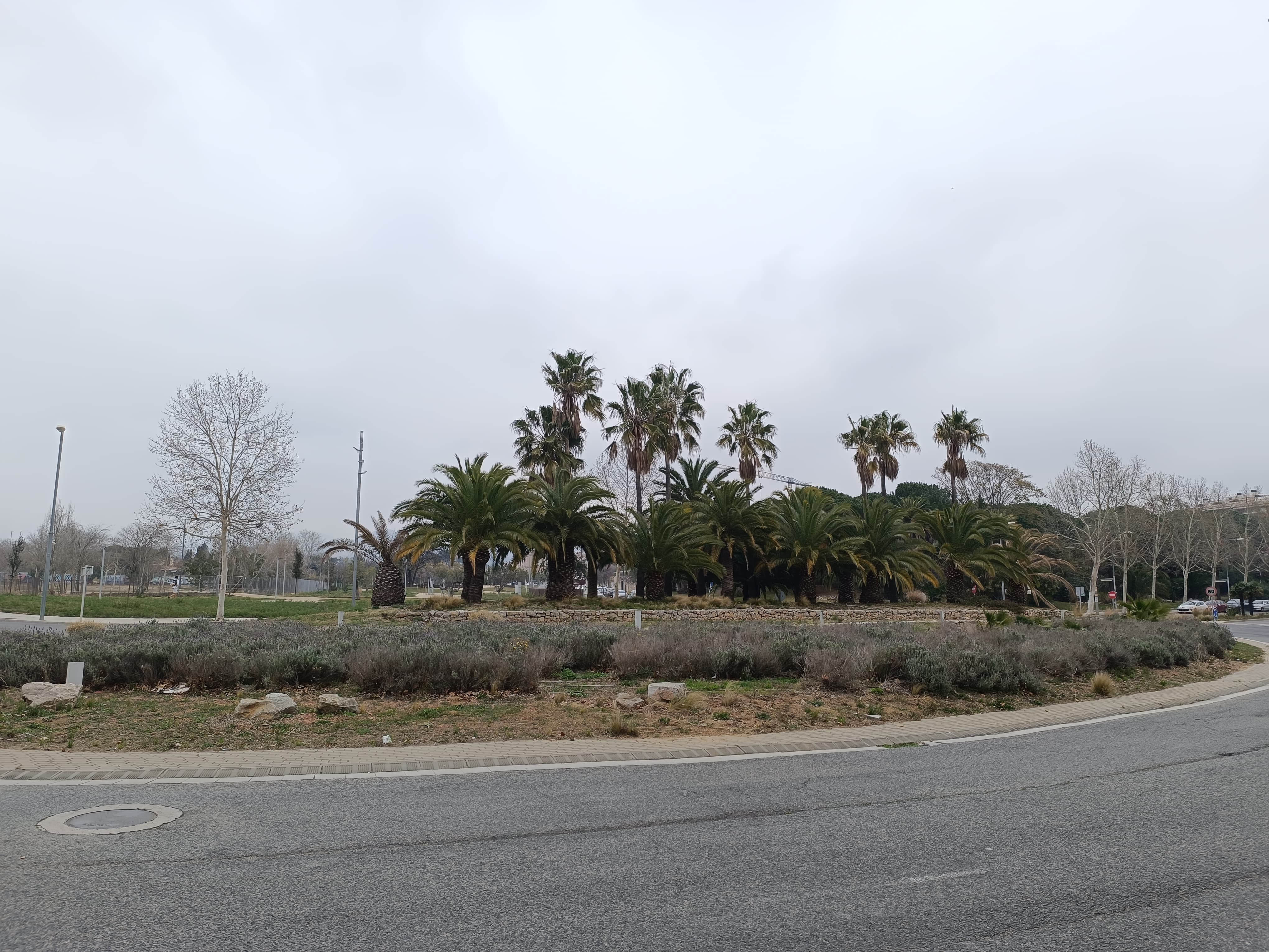 Rotonda avinguda de Riudoms