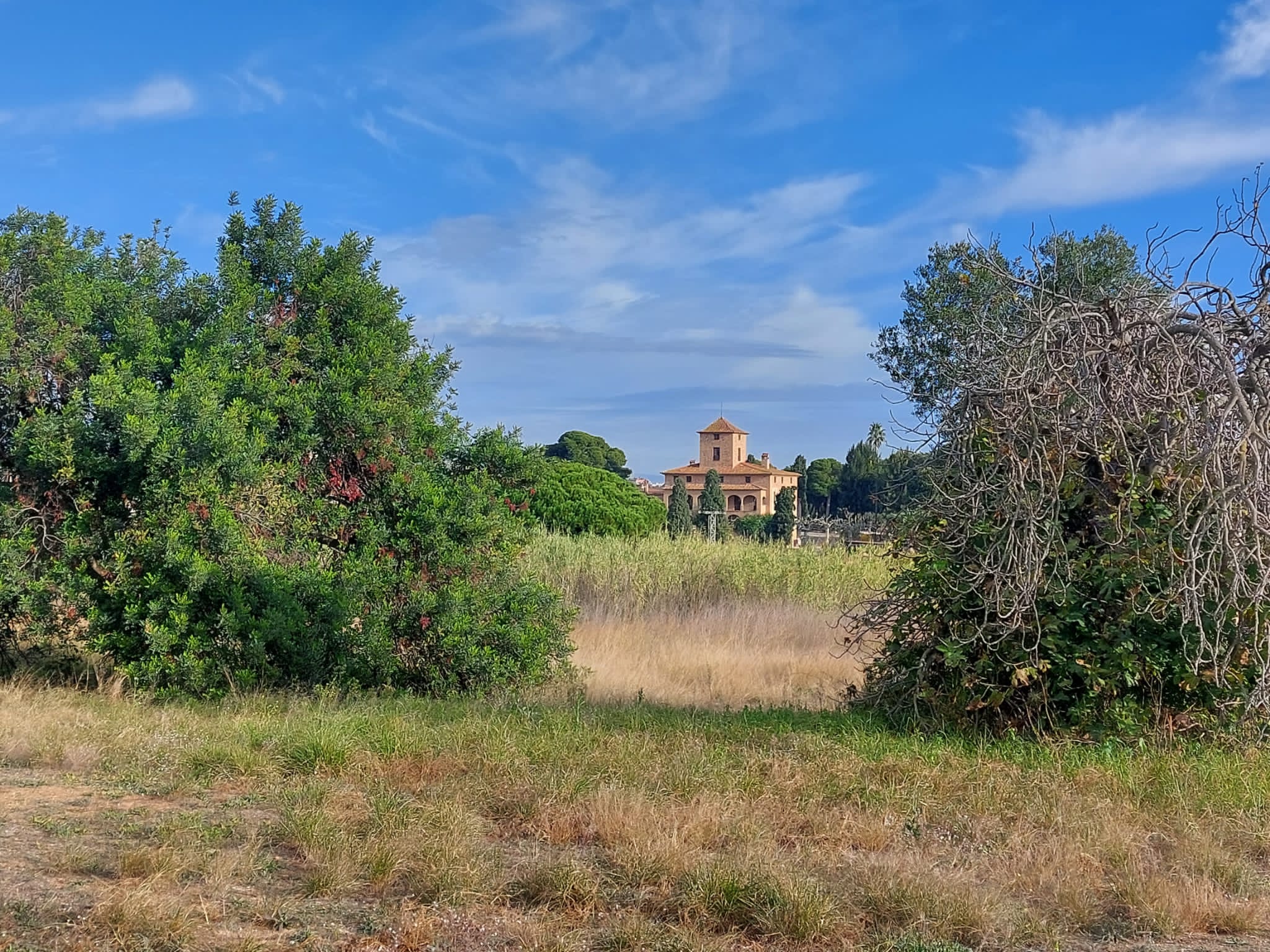 Emplaçament de la futura bassa naturalitzada prevista al projecte RENATUReus