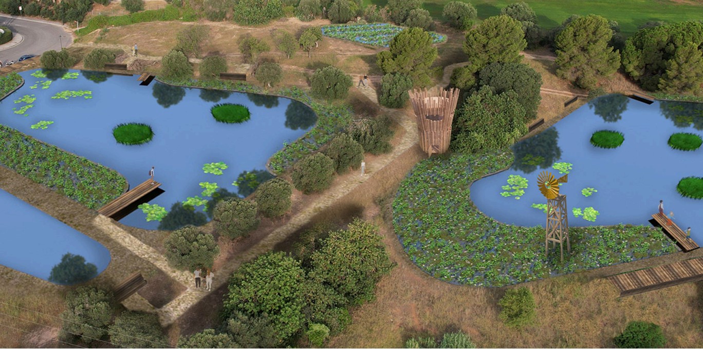 Projecte bassa naturalitzada