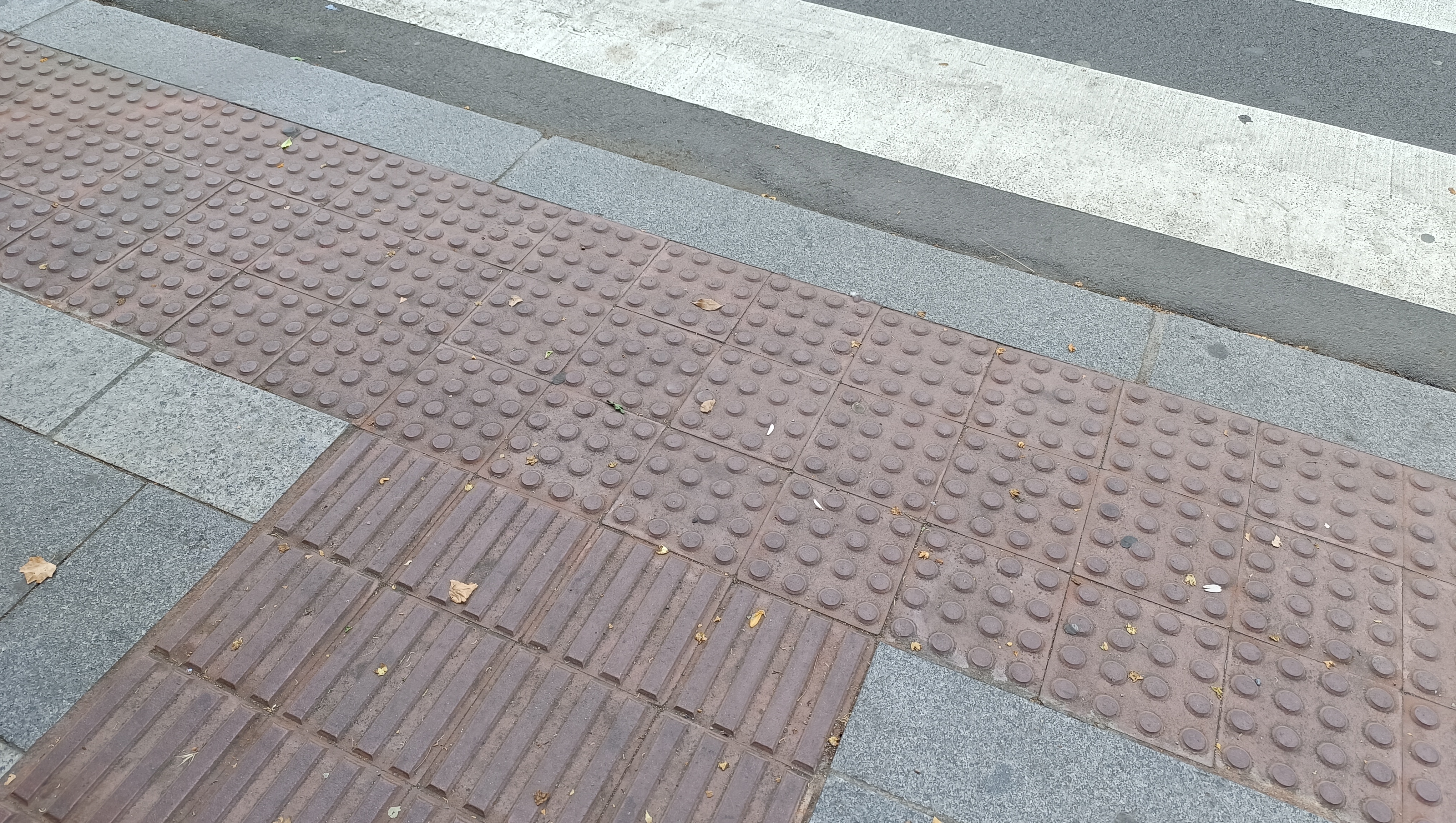 Rajola guia. Reus, ciutat inclusiva